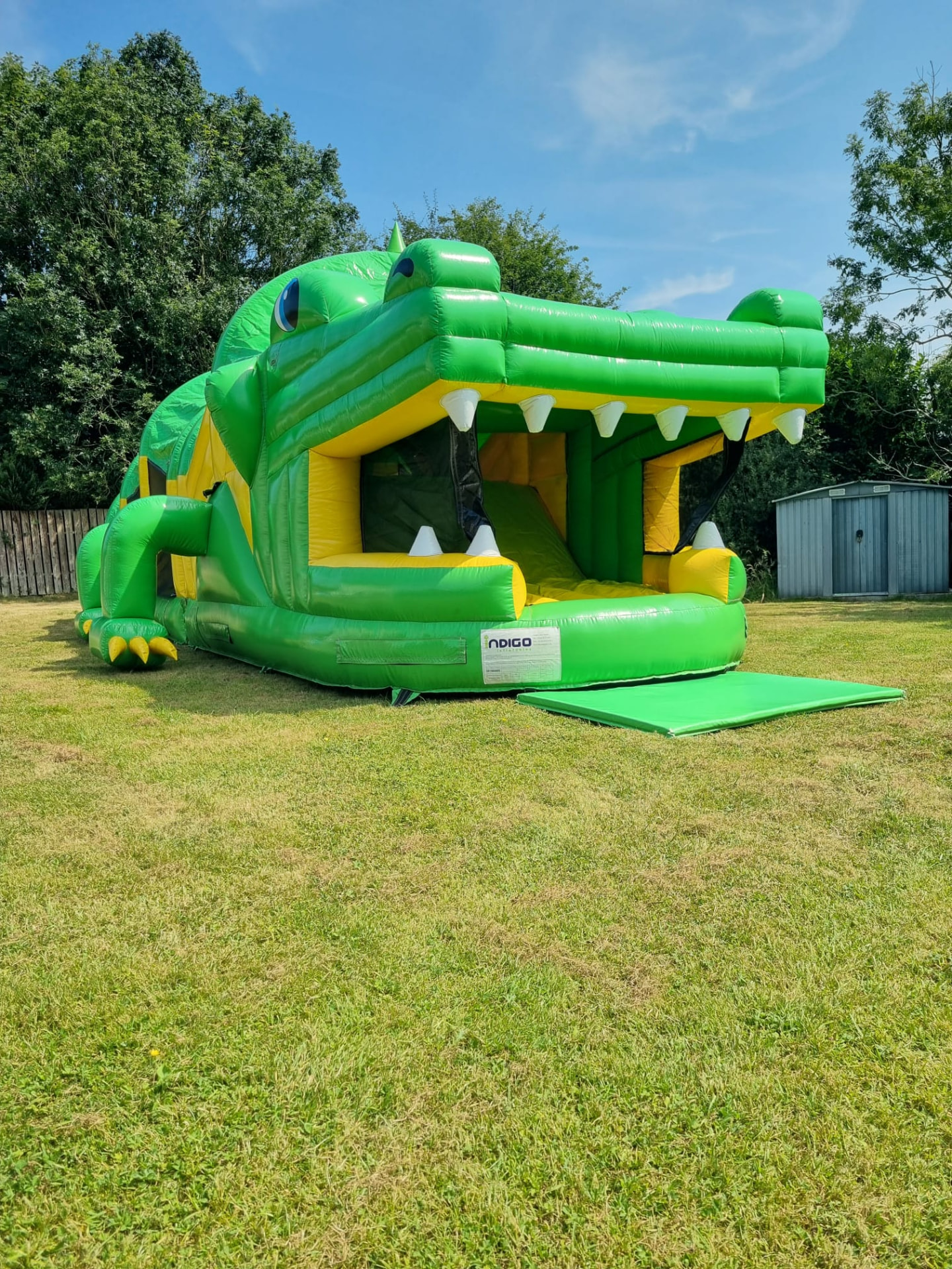 Crocodile Mouth